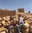 Фото автора отзыва: Виктория